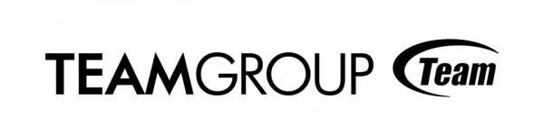 teamgroup logo